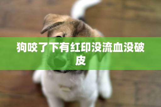狗咬了下有紅印沒流血沒破皮