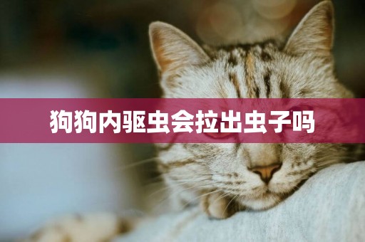 狗狗內驅蟲會拉出蟲子嗎