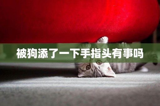 被狗添了一下手指頭有事嗎