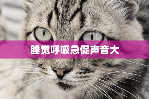睡覺呼吸急促聲音大