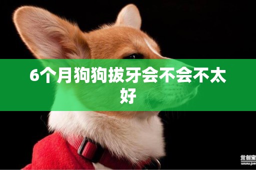 6個月狗狗拔牙會不會不太好