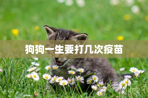 狗狗一生要打幾次疫苗