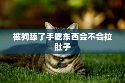 被狗舔了手吃東西會不會拉肚子