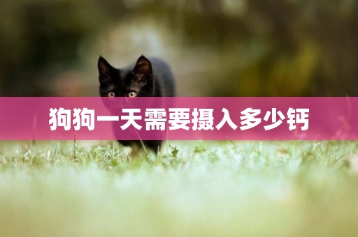 狗狗一天需要攝入多少鈣