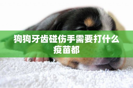 狗狗牙齒碰傷手需要打什么疫苗都