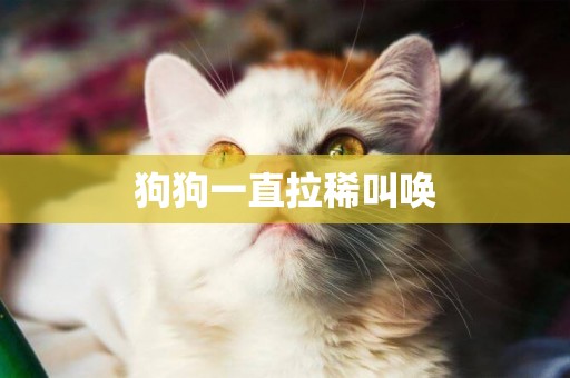 狗狗一直拉稀叫喚