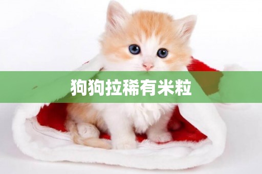 狗狗拉稀有米粒