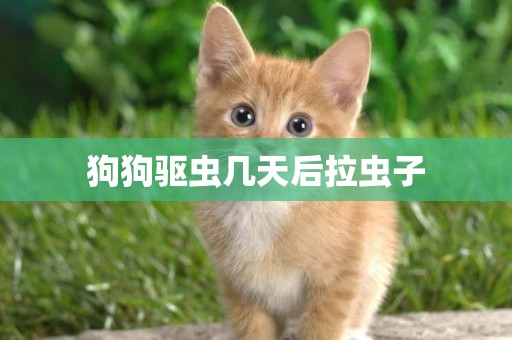 狗狗驅蟲幾天后拉蟲子