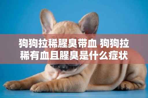 狗狗拉稀腥臭帶血 狗狗拉稀有血且腥臭是什么癥狀