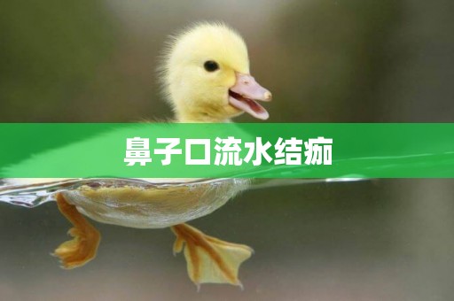 鼻子口流水結痂