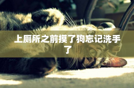 上廁所之前摸了狗忘記洗手了