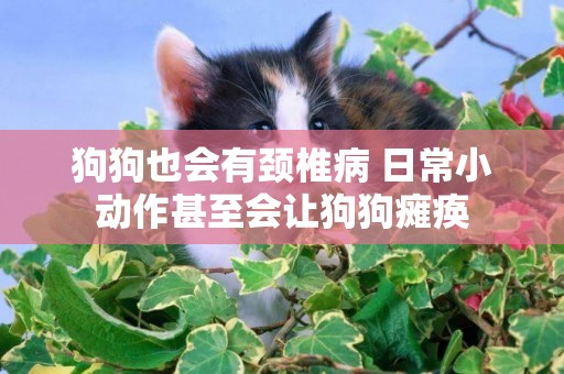 狗狗也會有頸椎病 日常小動作甚至會讓狗狗癱瘓
