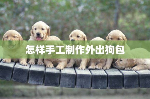 怎樣手工制作外出狗包