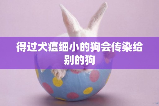 得過犬瘟細小的狗會傳染給別的狗