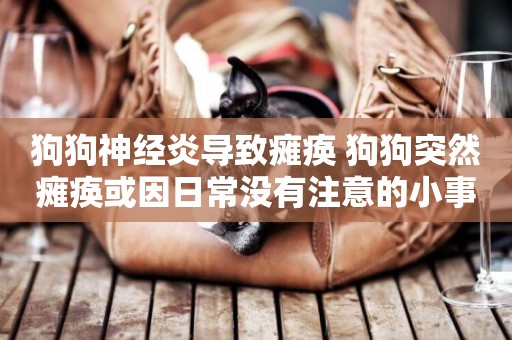 狗狗神經炎導致癱瘓 狗狗突然癱瘓或因日常沒有注意的小事