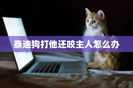 泰迪狗打他還咬主人怎么辦