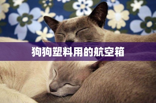 狗狗塑料用的航空箱