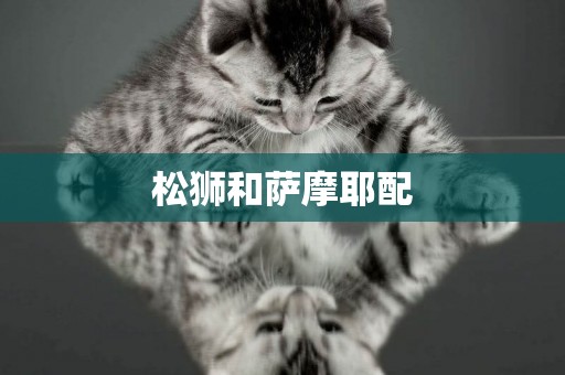 松獅和薩摩耶配