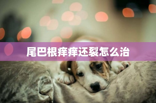 尾巴根癢癢還裂怎么治