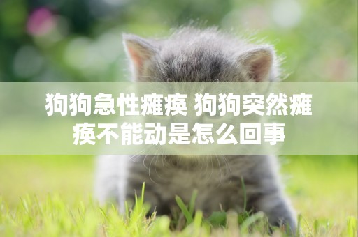 狗狗急性癱瘓 狗狗突然癱瘓不能動是怎么回事
