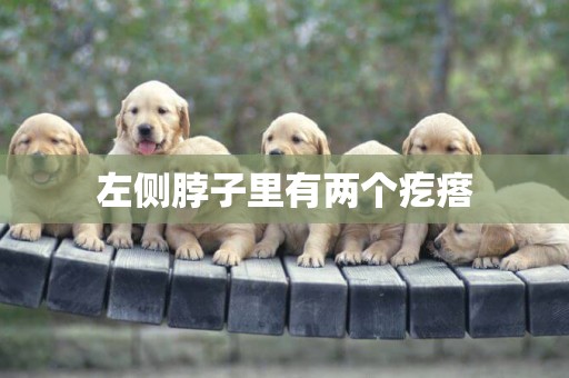 左側脖子里有兩個疙瘩