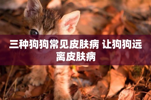 三種狗狗常見皮膚病 讓狗狗遠離皮膚病