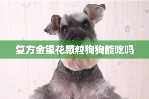 復方金銀花顆粒狗狗能吃嗎