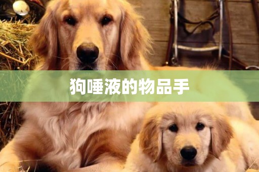 狗唾液的物品手