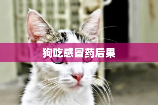 狗吃感冒藥后果