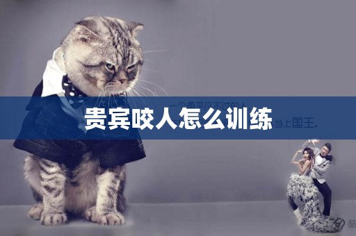貴賓咬人怎么訓練