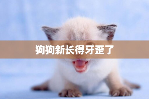 狗狗新長得牙歪了
