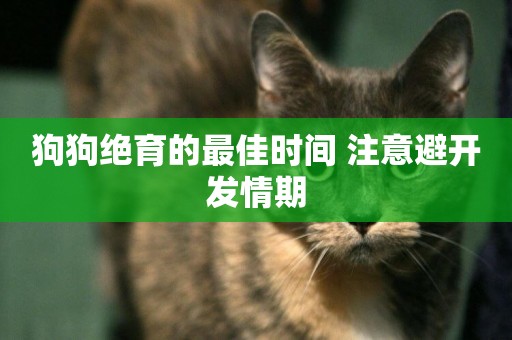 狗狗絕育的最佳時間 注意避開發情期