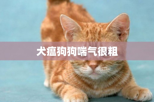 犬瘟狗狗喘氣很粗
