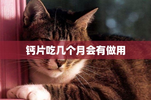 鈣片吃幾個月會有做用