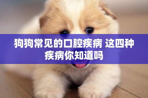 狗狗常見的口腔疾病 這四種疾病你知道嗎 狗狗常見的口腔疾病 這四種疾病你知道嗎