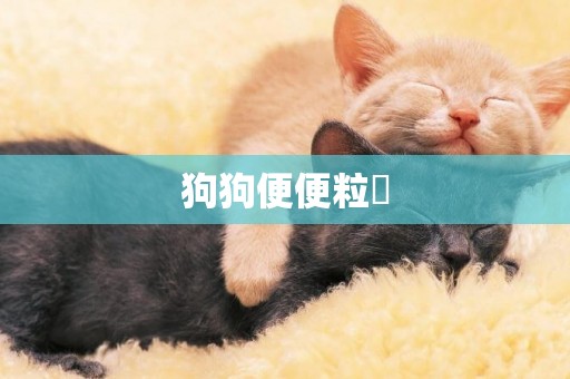 狗狗便便粒狀
