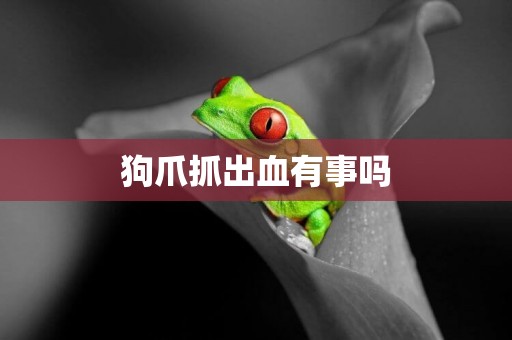 狗爪抓出血有事嗎