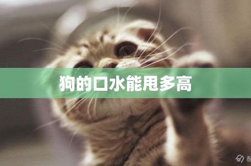 狗的口水能甩多高