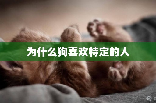 為什么狗喜歡特定的人