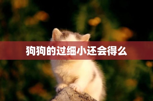 狗狗的過細小還會得么