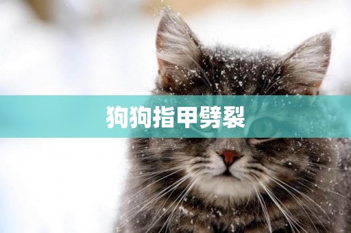 狗狗指甲劈裂