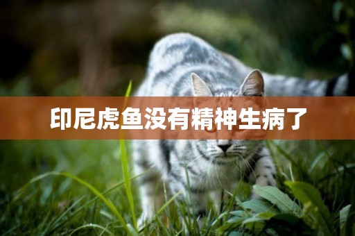 印尼虎魚沒有精神生病了