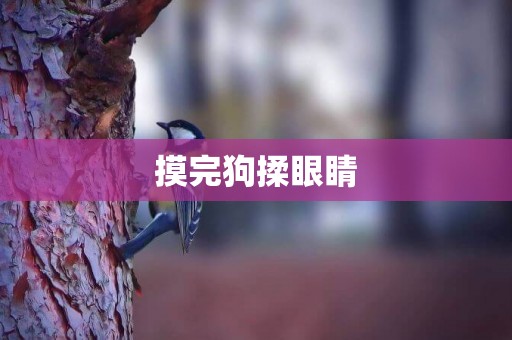 摸完狗揉眼睛