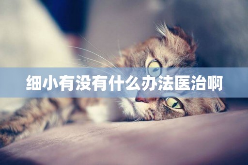 細小有沒有什么辦法醫治啊