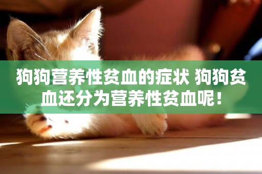 狗狗營養性貧血的癥狀 狗狗貧血還分為營養性貧血呢！