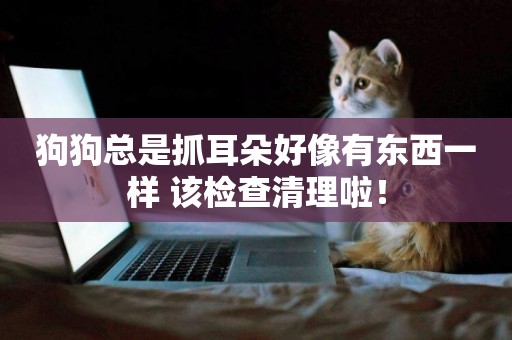 狗狗總是抓耳朵好像有東西一樣 該檢查清理啦！