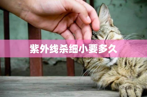 紫外線殺細小要多久