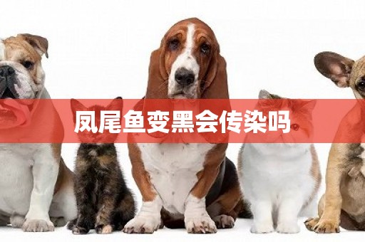 鳳尾魚變黑會傳染嗎