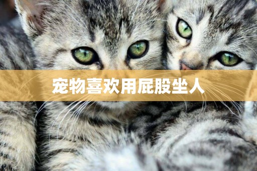 寵物喜歡用屁股坐人