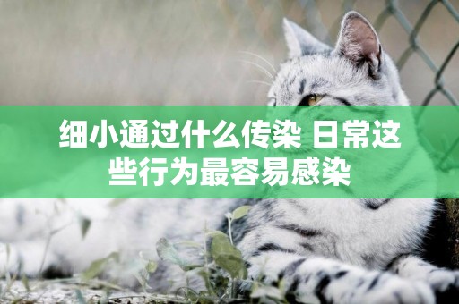 細小通過什么傳染 日常這些行為最容易感染